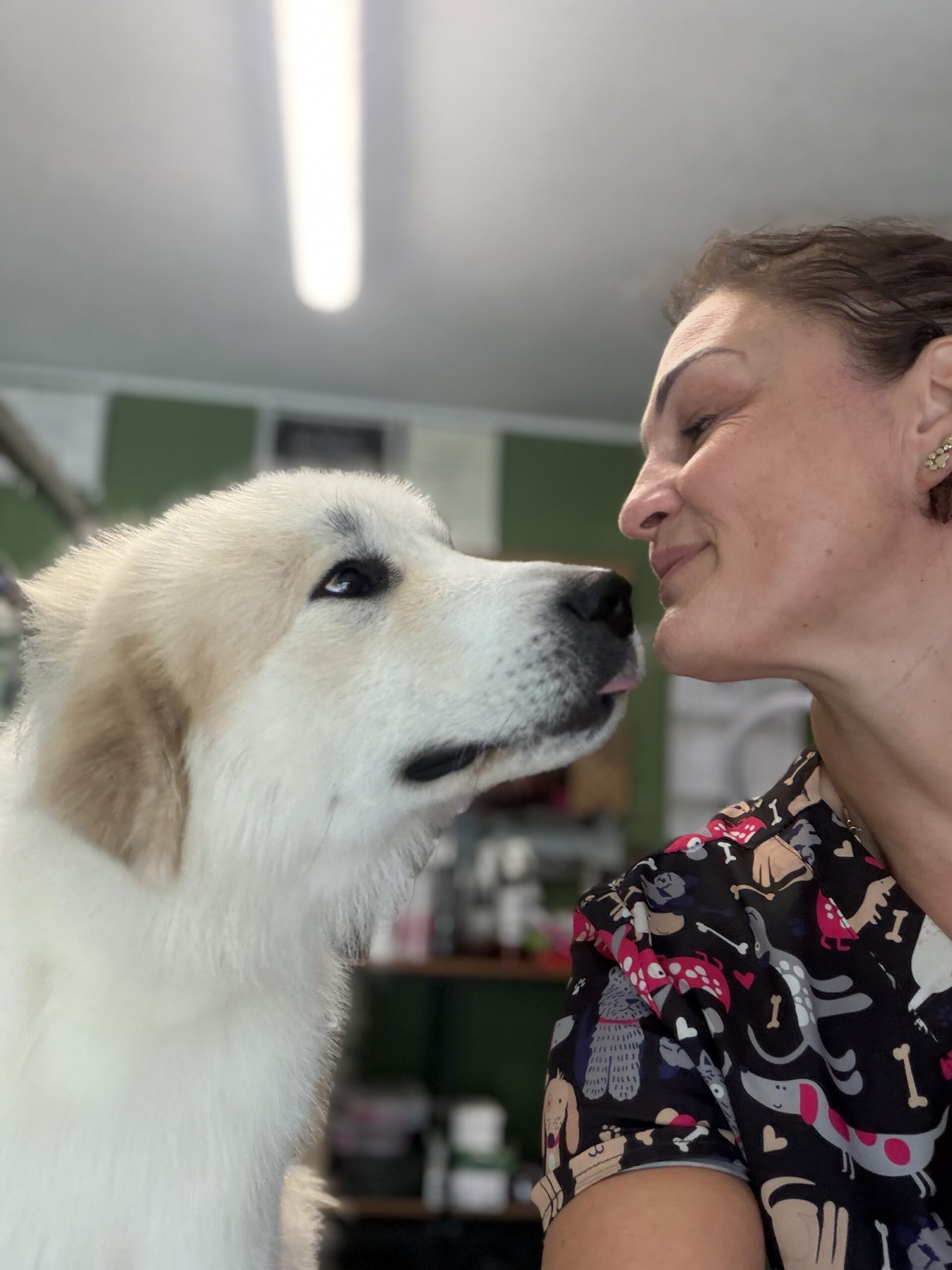 Kraina łapek groomer Skwierzyna