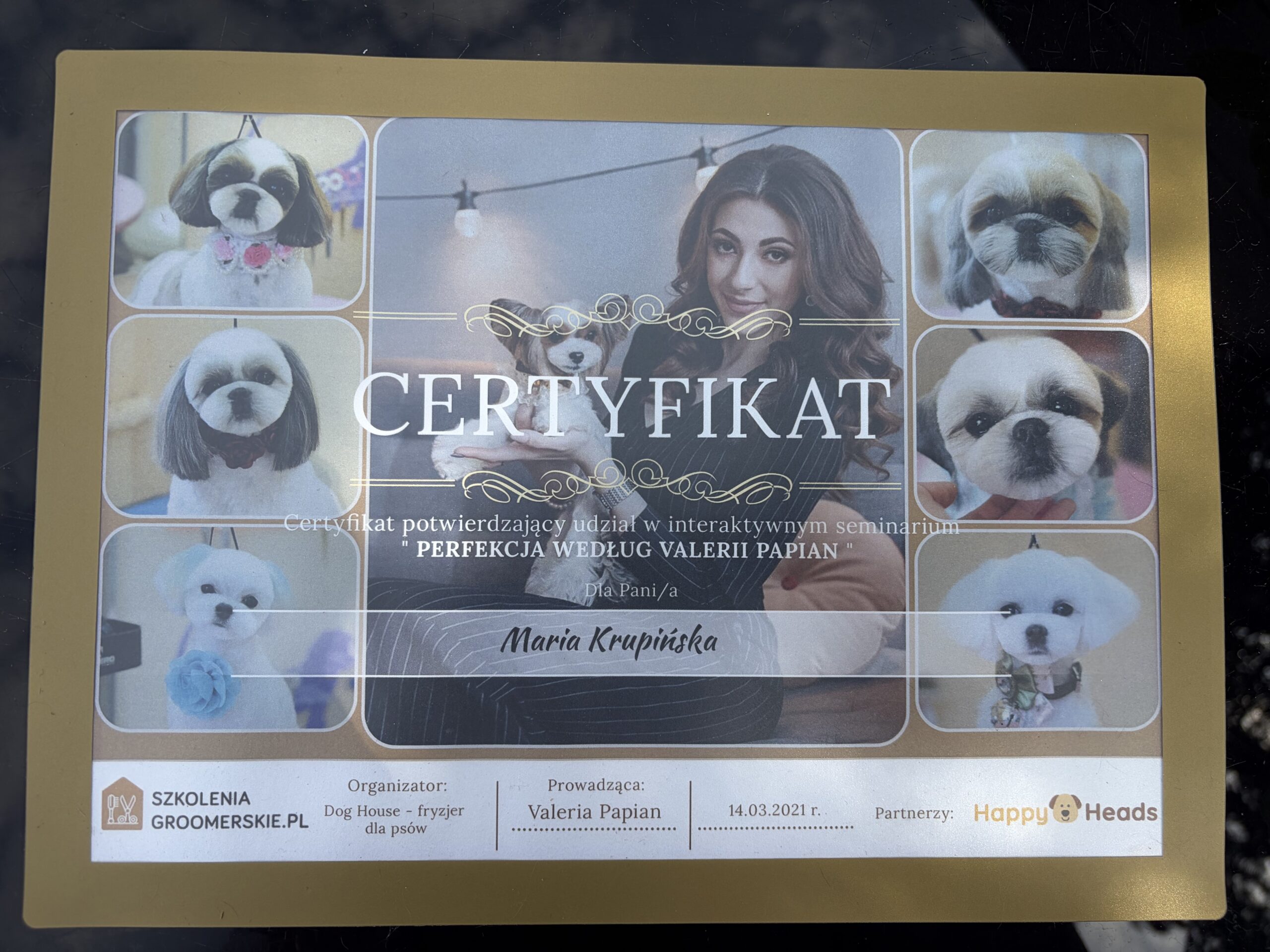 Kraina łapek certyfikat Valeria papian