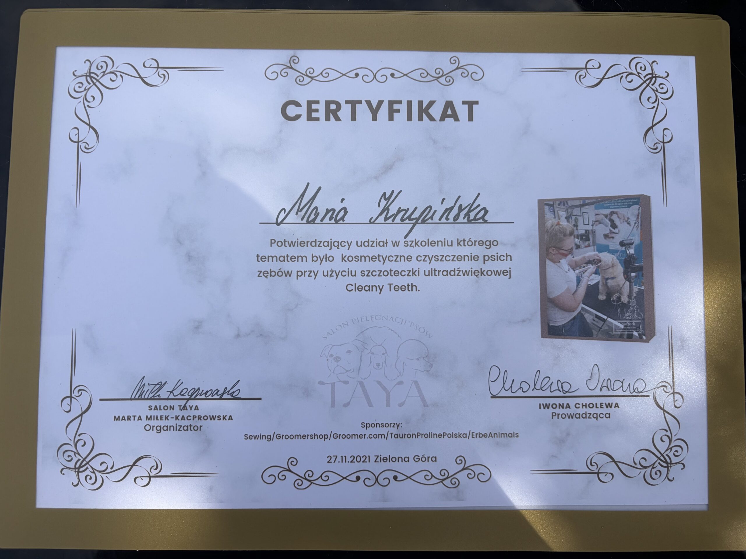 Kraina łapek certyfikat czyszczenie zębów