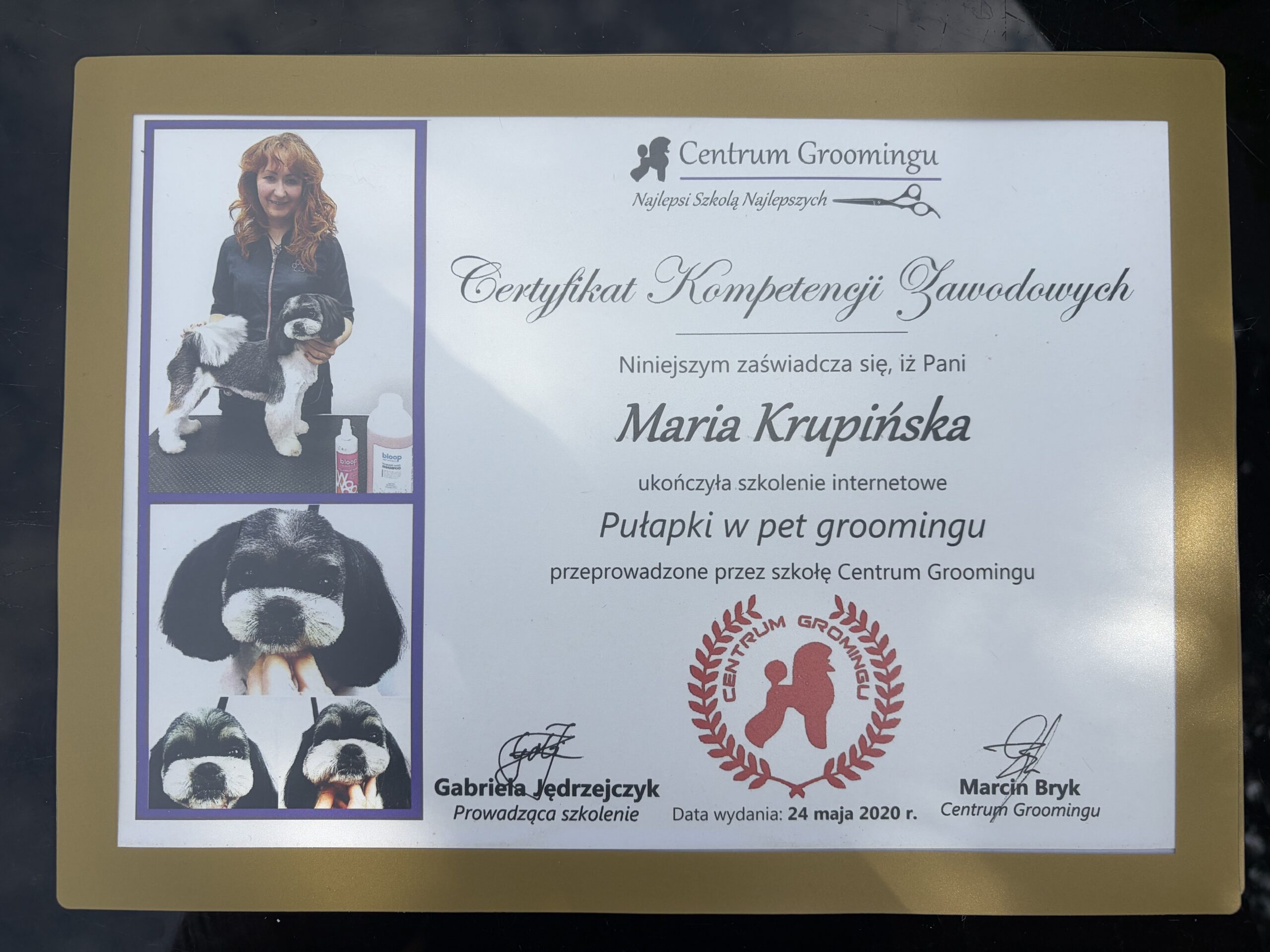 Kraina łapek certyfikat grooming