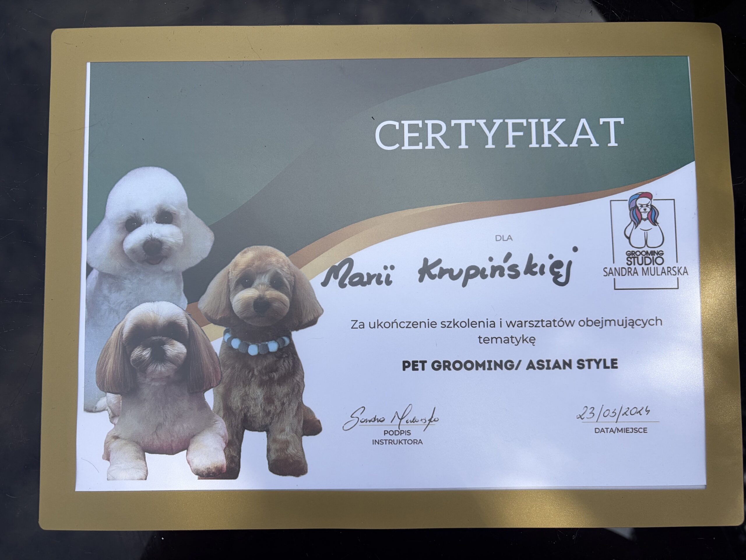 Kraina łapek certyfikat pet grooming