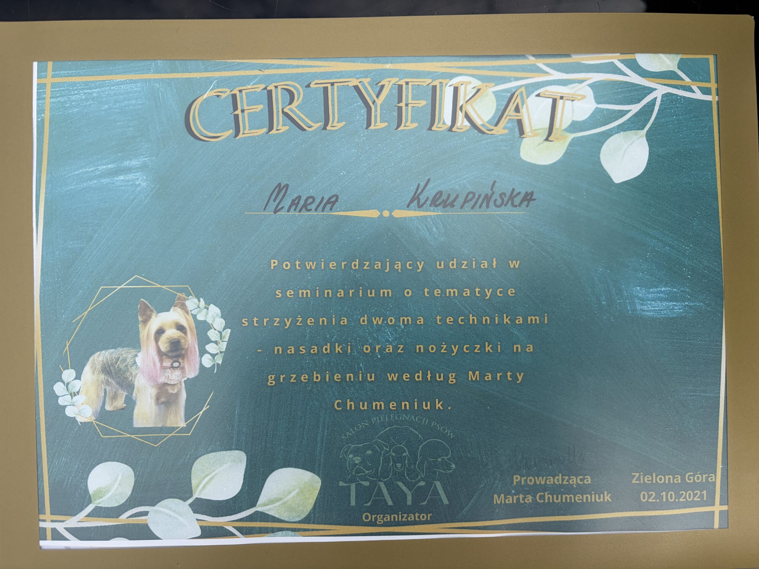 Kraina łapek certyfikat strzyżenia