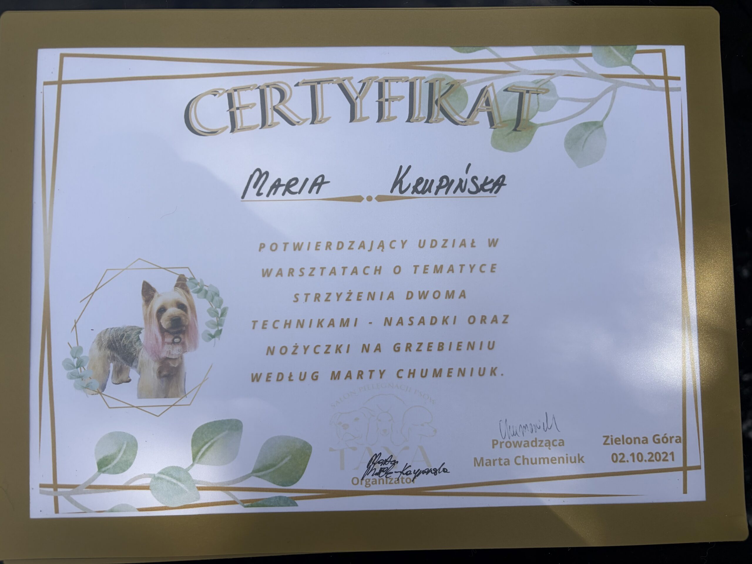 Kraina łapek certyfikat strzyżenie