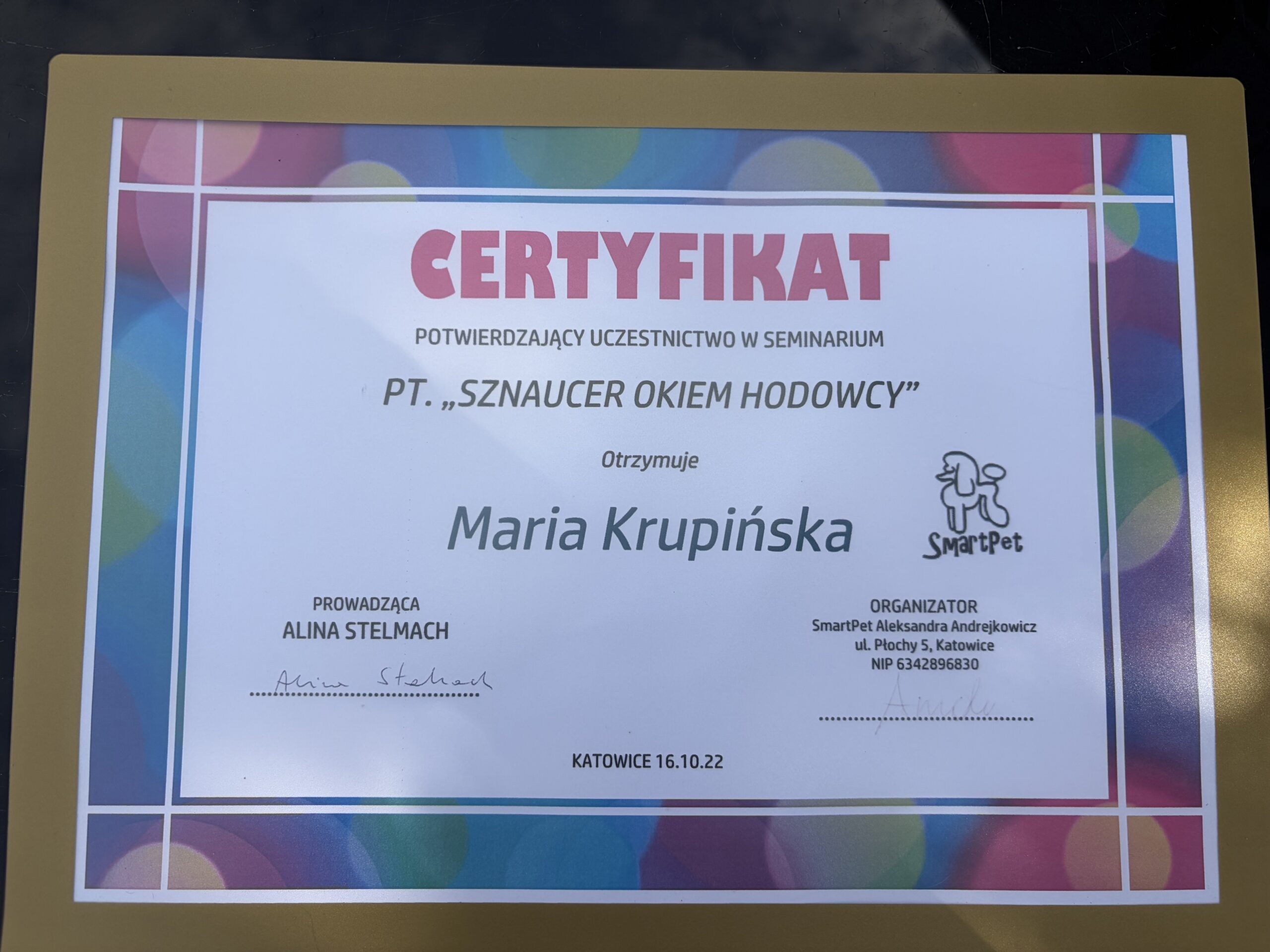 Kraina łapek certyfikat sznaucer strzyżenia