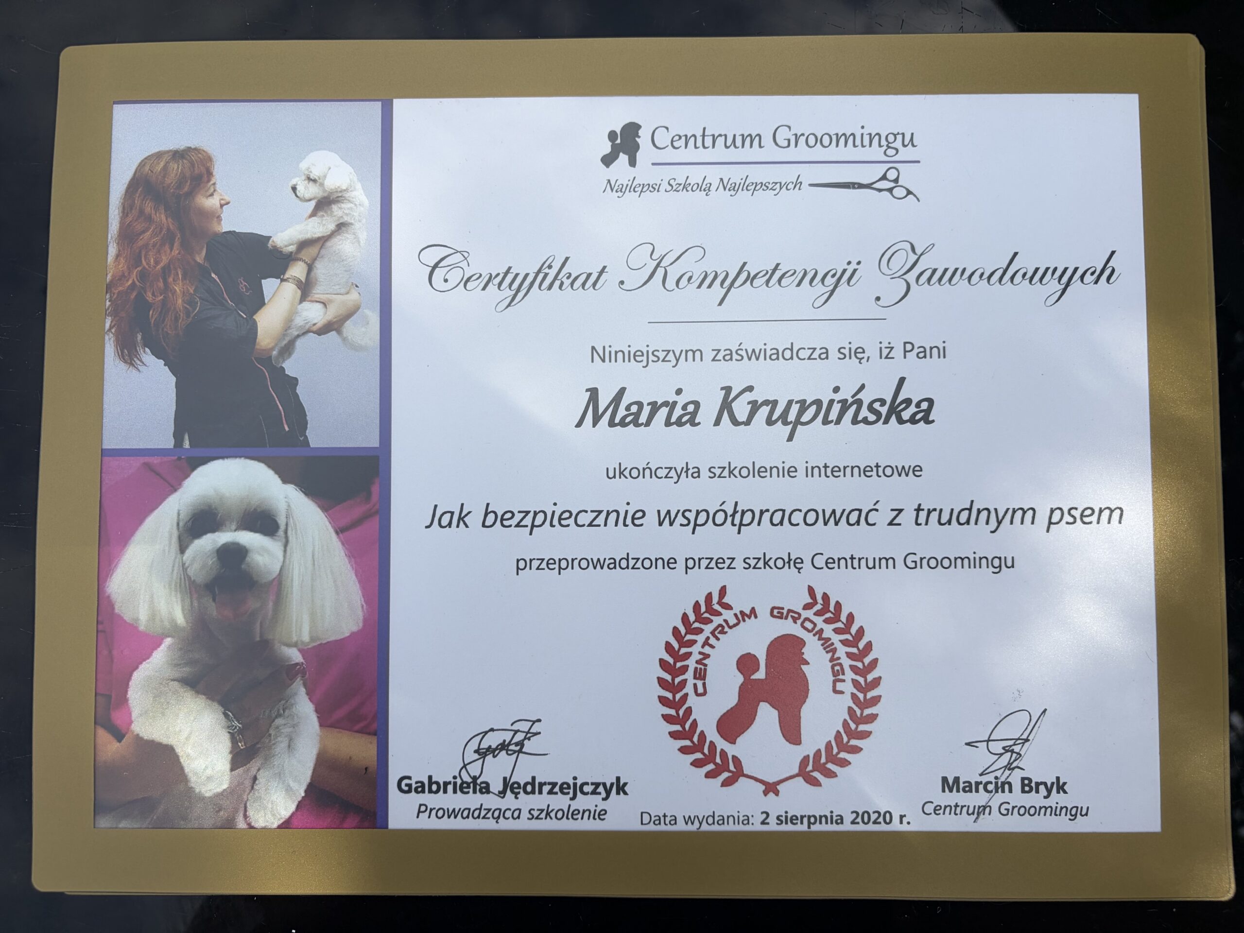 Kraina łapek certyfikat trudny pies