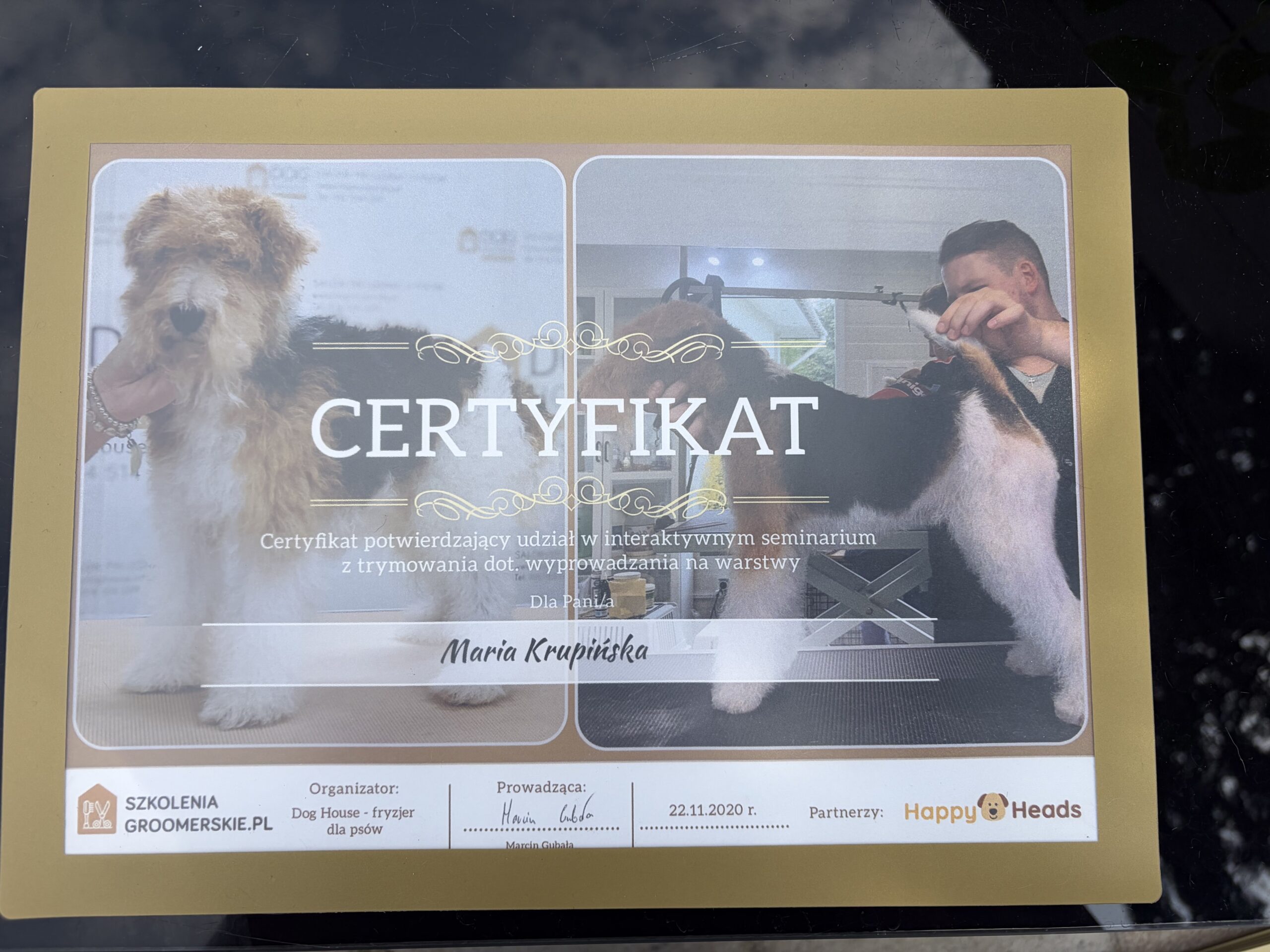 Kraina łapek certyfikat trymowanie