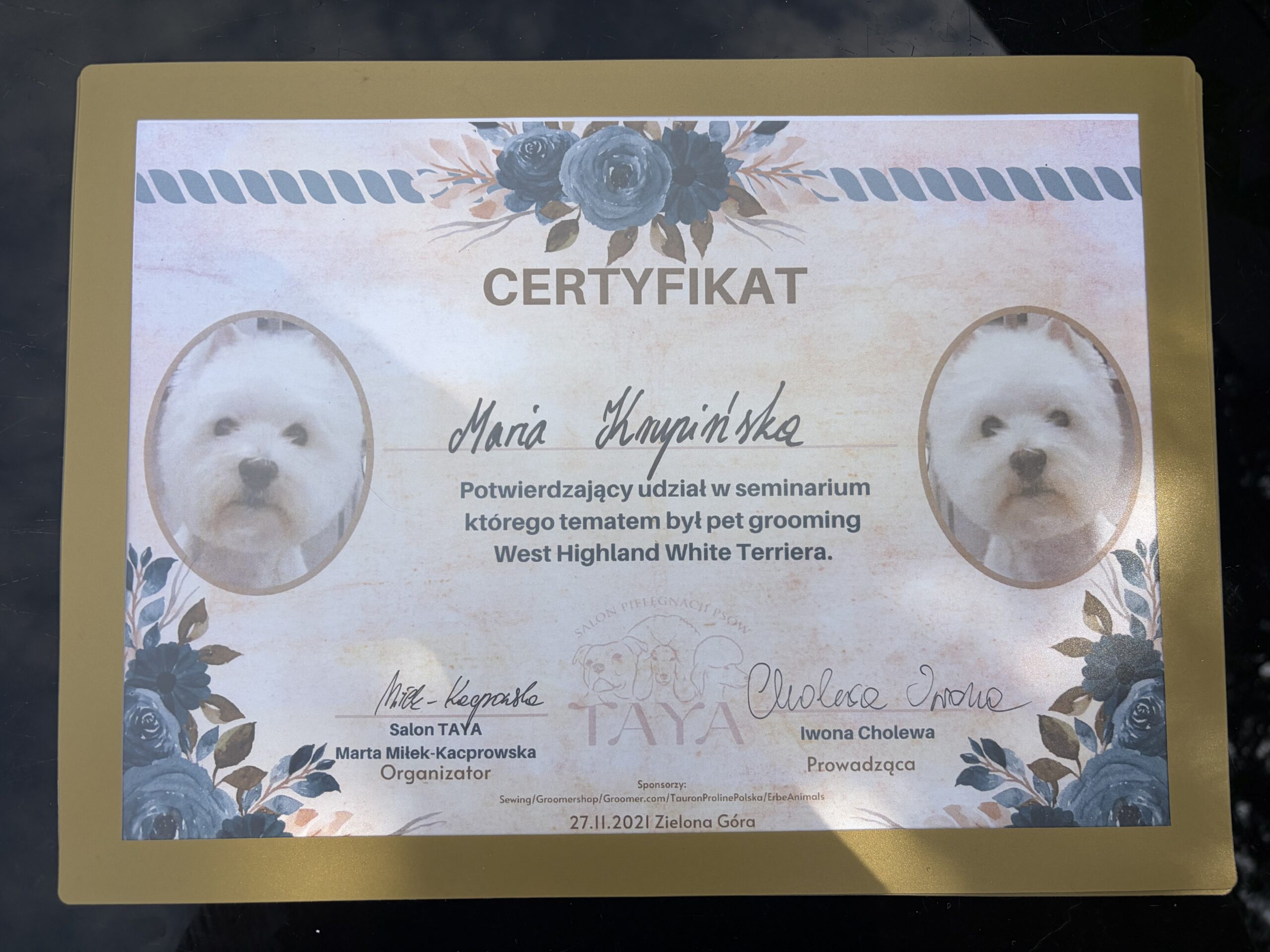 Kraina łapek certyfikat white terier